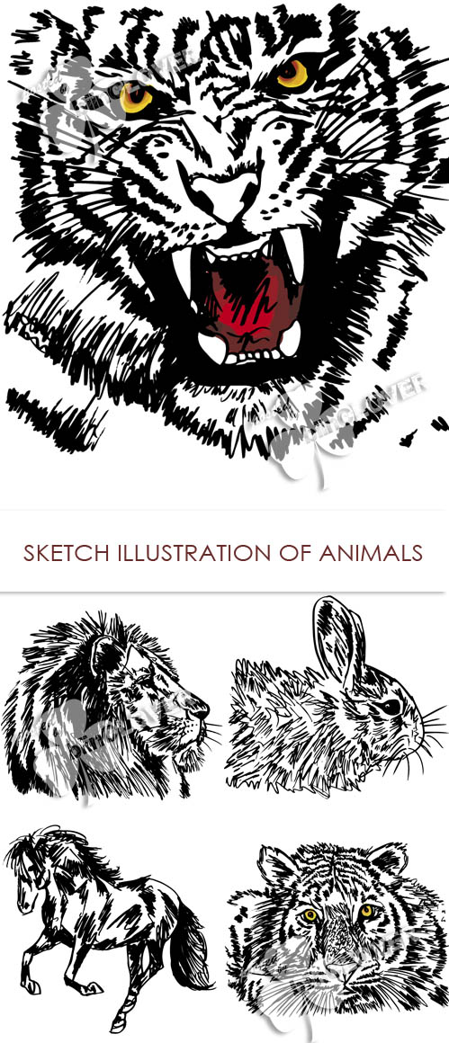 Sketch illustration of  animals 0195