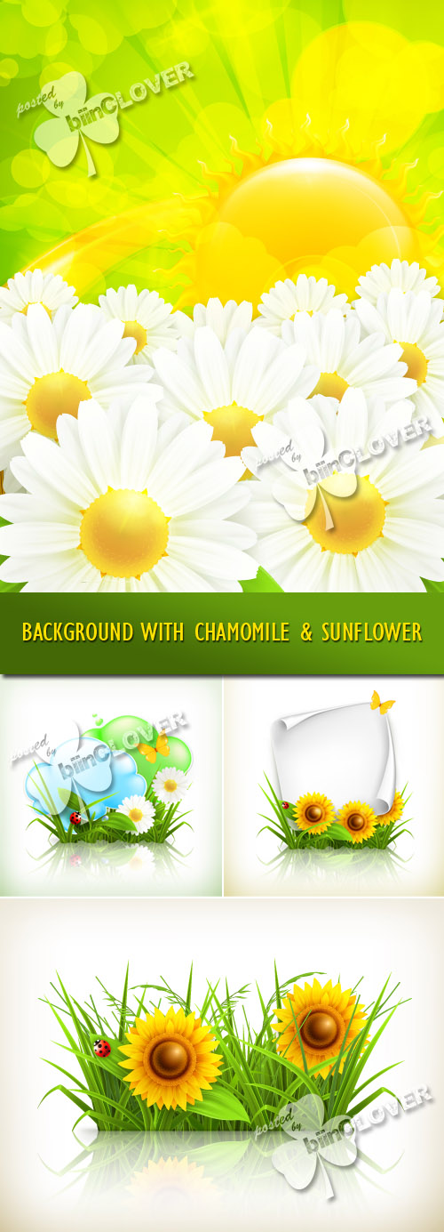 Background with chamomile and sunflower 0196