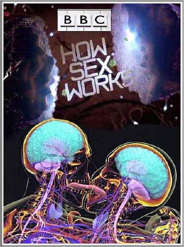 :    / : How Sex Works (2012) SATRip 