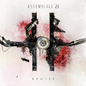 Assemblage 23 - Bruise (2012)