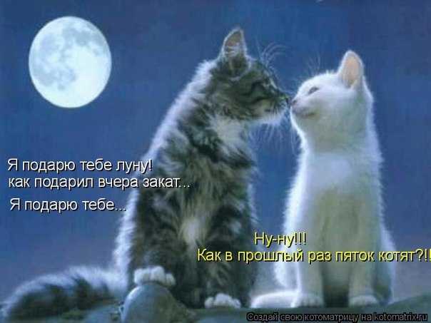 http://i40.fastpic.ru/big/2012/0715/75/5924bf6bb5594276d91087f537d84975.jpg