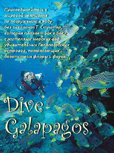 BBC:    / Dive Galapagos (2008) SATRip 