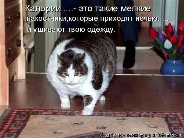http://i40.fastpic.ru/big/2012/0717/7a/515e11551b7e26b010efe9ae454b9b7a.jpg