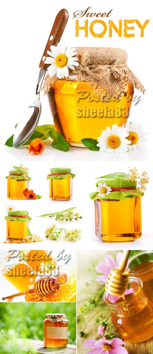 Stock Photo - Sweet Honey