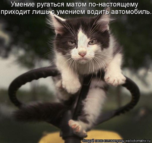 http://i40.fastpic.ru/big/2012/0717/d5/0104d86abf70540124459e5df0844ad5.jpg