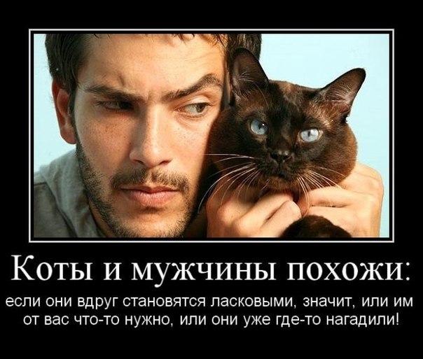 http://i40.fastpic.ru/big/2012/0718/3e/ac6911a532fded90b90f122c224ee13e.jpg