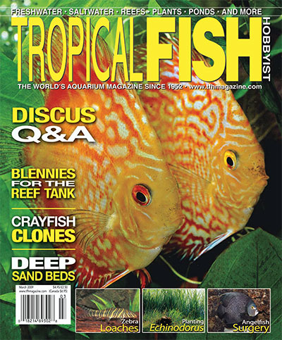 Tropical Fish Hobbyist - March 2009 