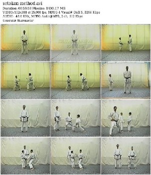 Сетокан каратэ - методики обучения (2009) DVDRip