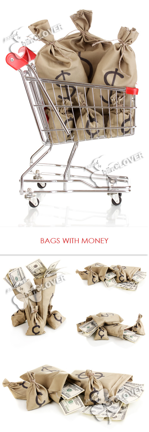 Bags with money 0220