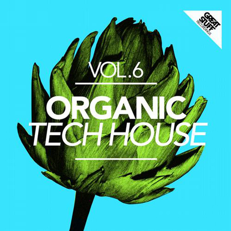VA - Organic Tech House Vol. 6 (2012) 