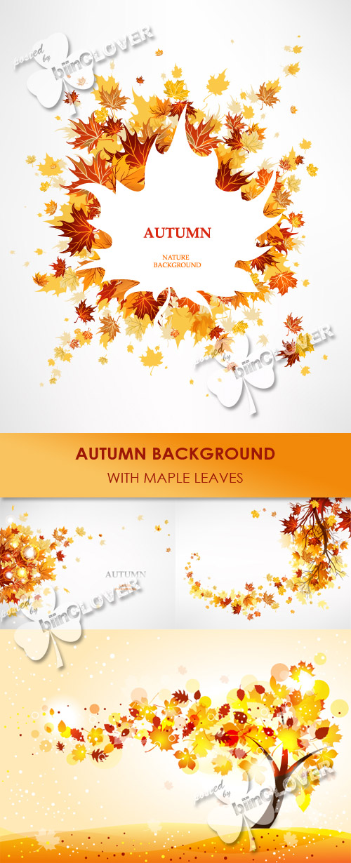Autumn background with maple leaves 0233