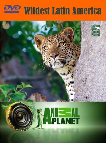 Animal Planet:     / Wildest Latin America (2012) SATRip 