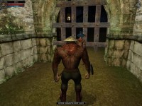 Dungeon Lords 1.5 (2005/RUS/RUS/RePack by R.G. Catalyst)