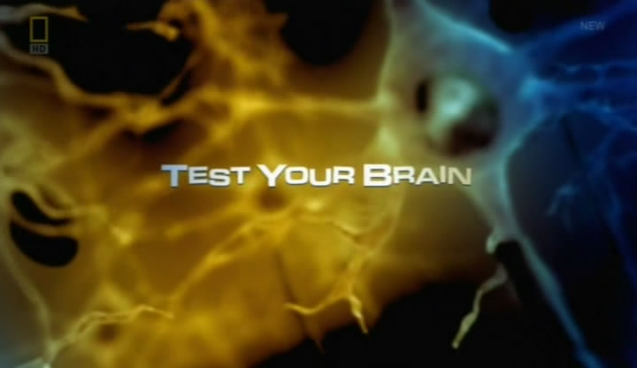 Test Your Brain Game