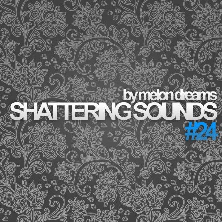 Shattering Sounds #24 (2012)