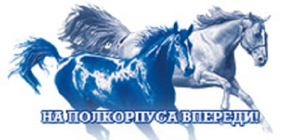    2010-2011