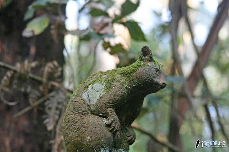 The Mysterious Sculptures of William Ricketts Sanctuary