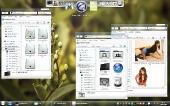 Frost Skin Pack 1.0 for Windows 7 (x86/x64)